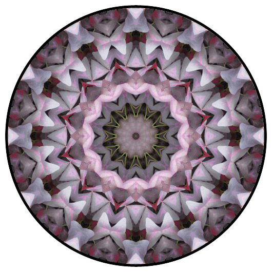 botanical mandala, mandala art