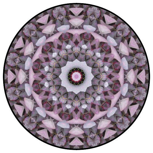 botanical mandala, mandala art