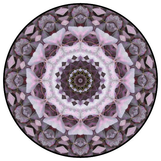 botanical mandala, mandala art
