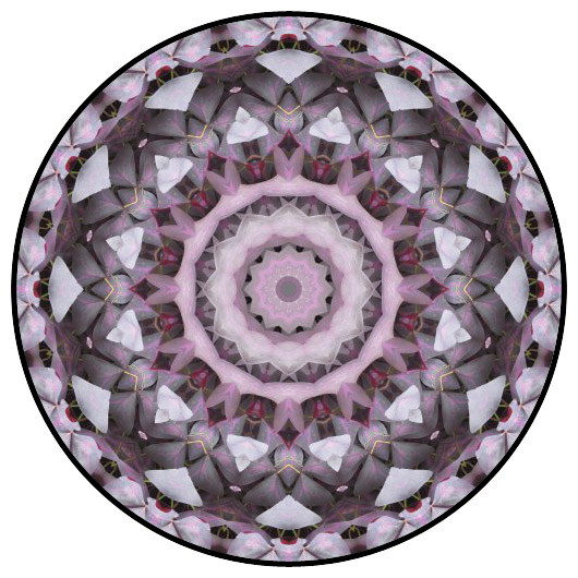 botanical mandala, mandala art