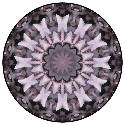 botanical mandala, mandala art