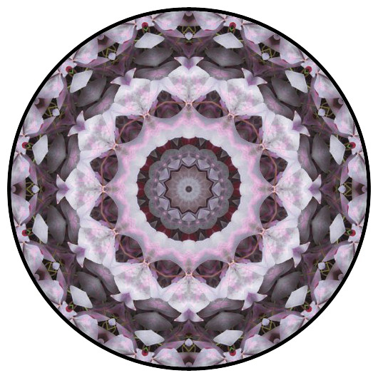 botanical mandala, mandala art