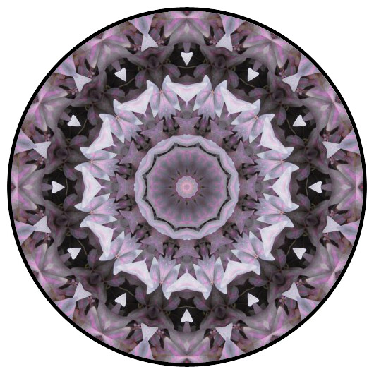 botanical mandala, mandala art