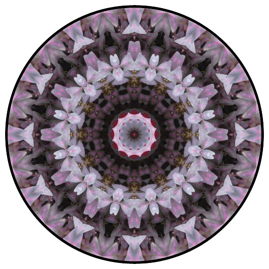 botanical mandala, mandala art