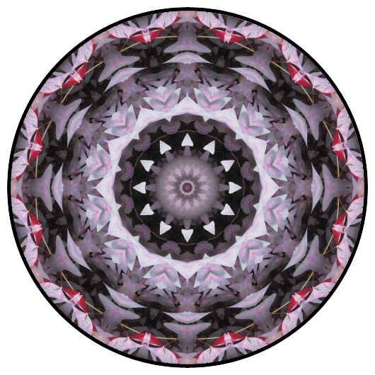botanical mandala, mandala art