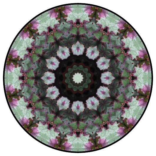 botanical mandala, mandala art