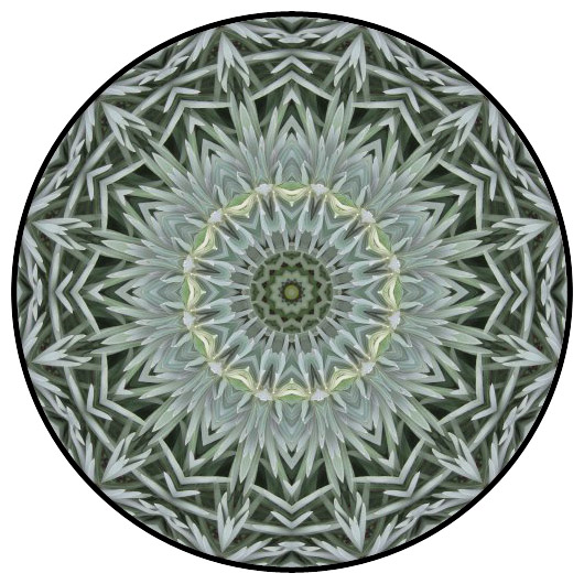 botanical mandala, mandala art