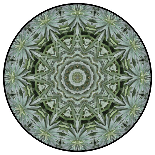 botanical mandala, mandala art
