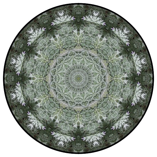 botanical mandala, mandala art