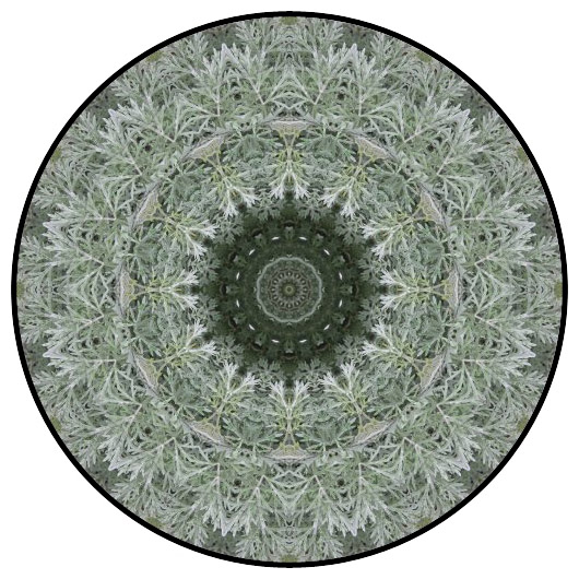 botanical mandala, mandala art