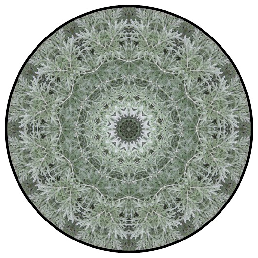 botanical mandala, mandala art