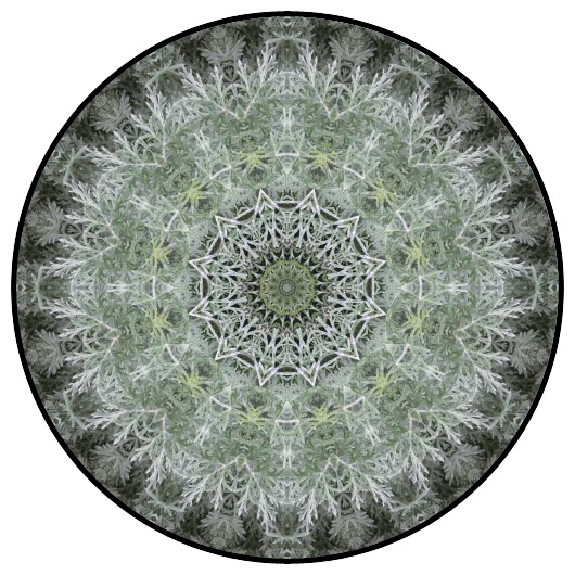 botanical mandala, mandala art