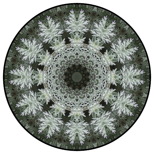 botanical mandala, mandala art