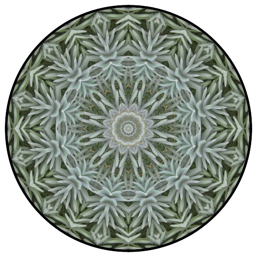 botanical mandala, mandala art