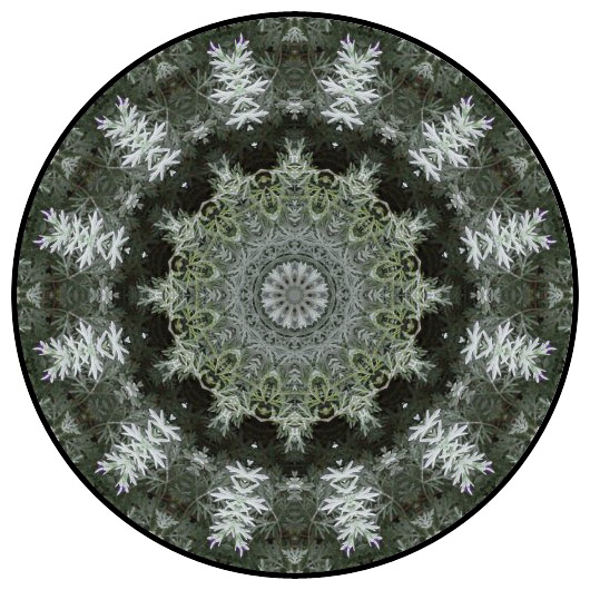 botanical mandala, mandala art