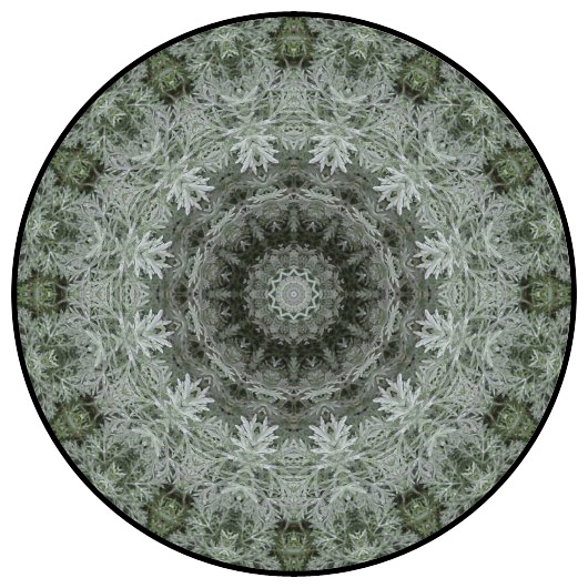 botanical mandala, mandala art