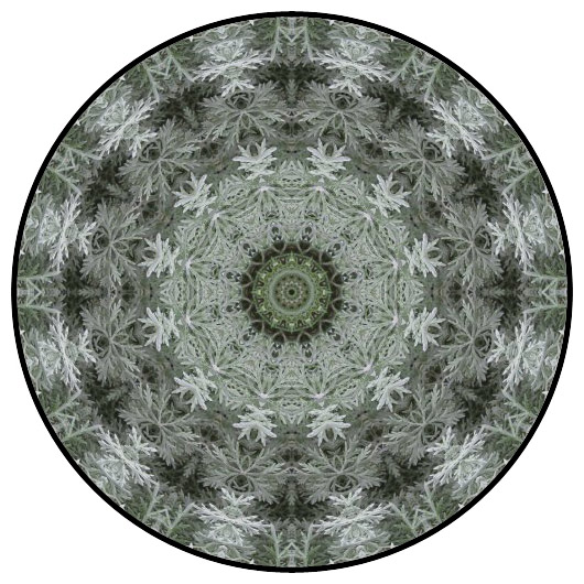 botanical mandala, mandala art