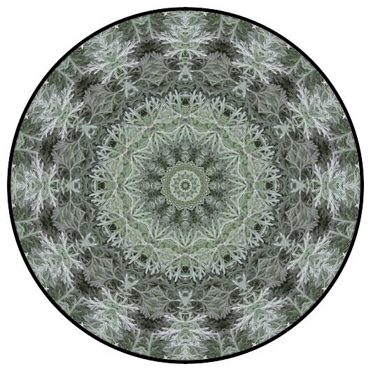 botanical mandala, mandala art