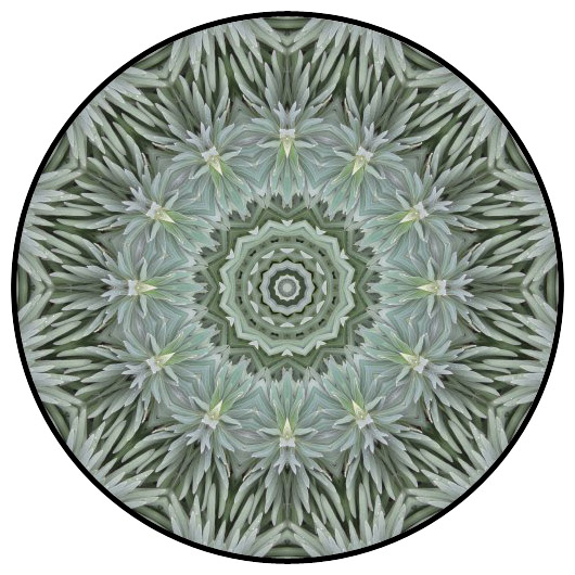 botanical mandala, mandala art