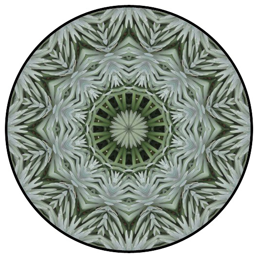 botanical mandala, mandala art