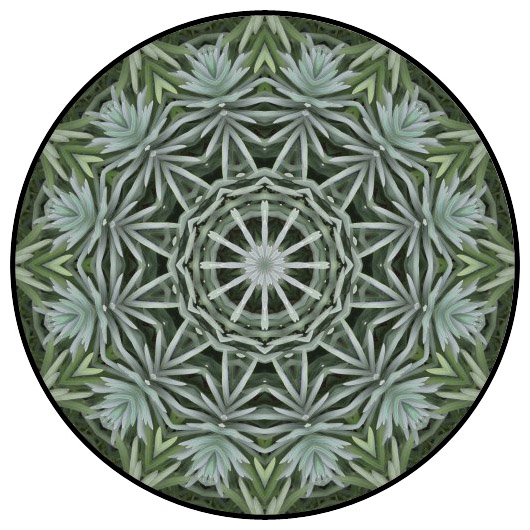 botanical mandala, mandala art