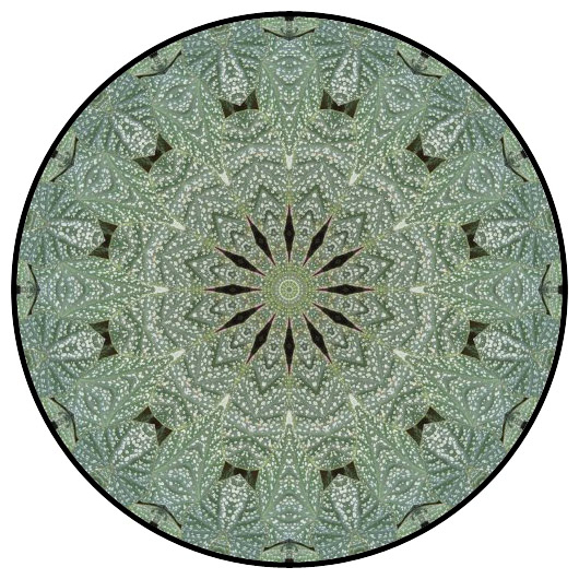 botanical mandala, mandala art