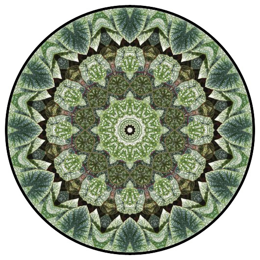 botanical mandala, mandala art