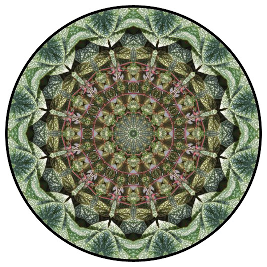 botanical mandala, mandala art