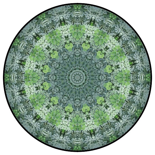 botanical mandala, mandala art