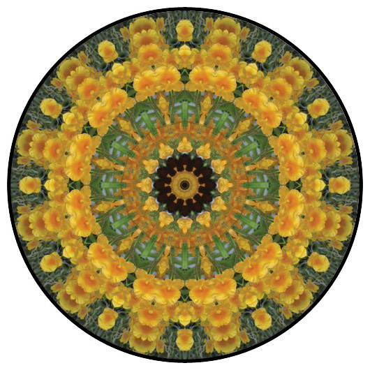 botanical mandala, mandala art