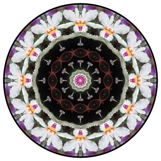 botanical mandala, mandala art