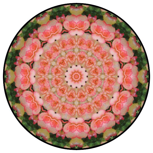 botanical mandala, mandala art