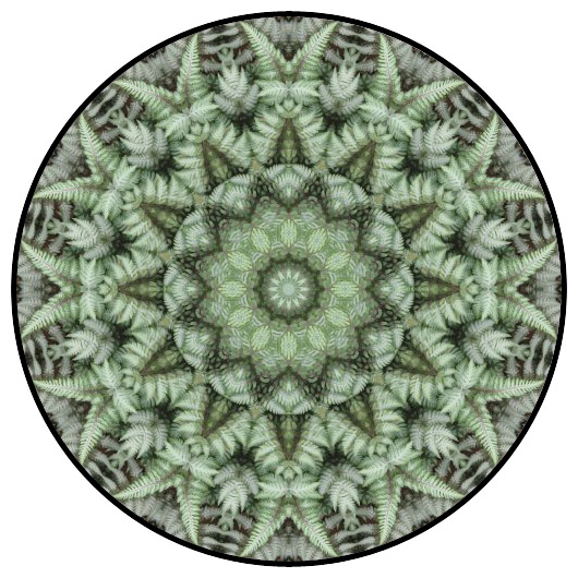 botanical mandala, mandala art