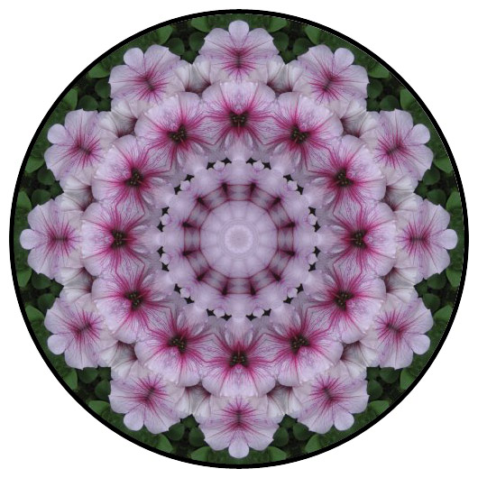 botanical mandala, mandala art