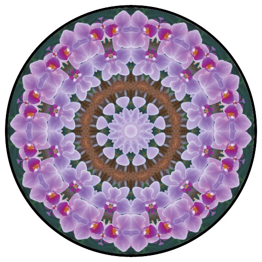 botanical mandala, mandala art