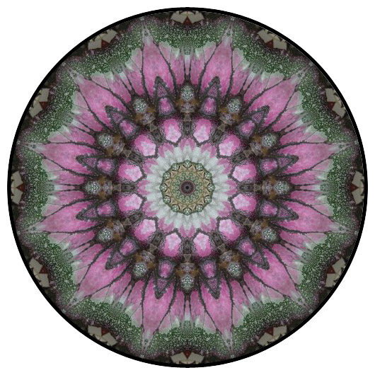 botanical mandala, mandala art