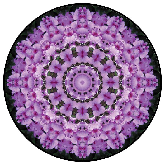 botanical mandala, mandala art