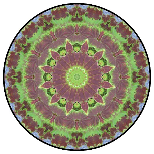 botanical mandala, mandala art