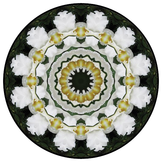 botanical mandala, mandala art