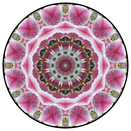 botanical mandala, mandala art