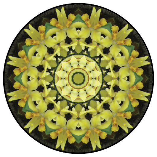 botanical mandala, mandala art