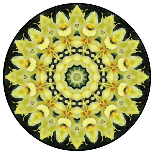 botanical mandala, mandala art