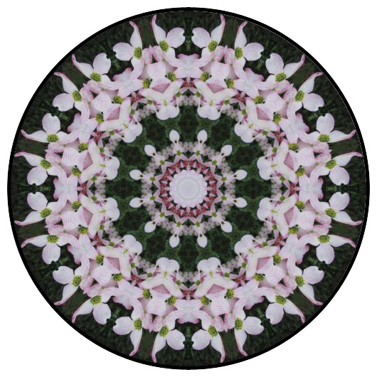 botanical mandala, mandala art
