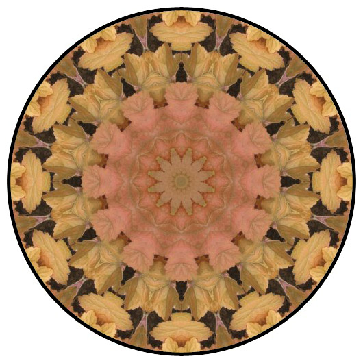 botanical mandala, mandala art