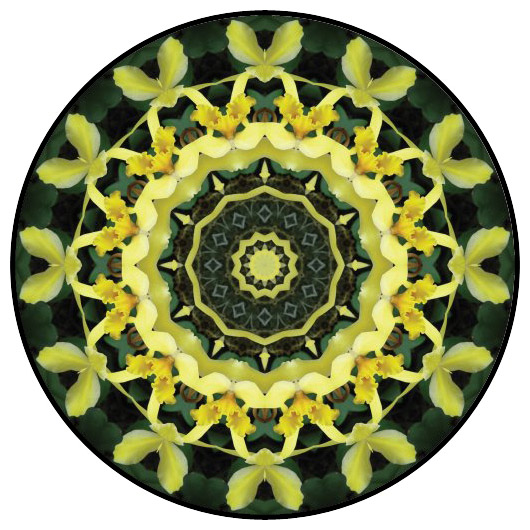 botanical mandala, mandala art