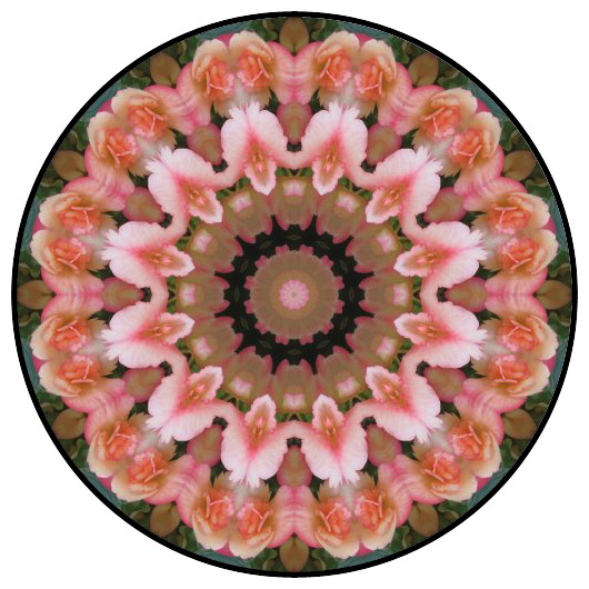 botanical mandala, mandala art