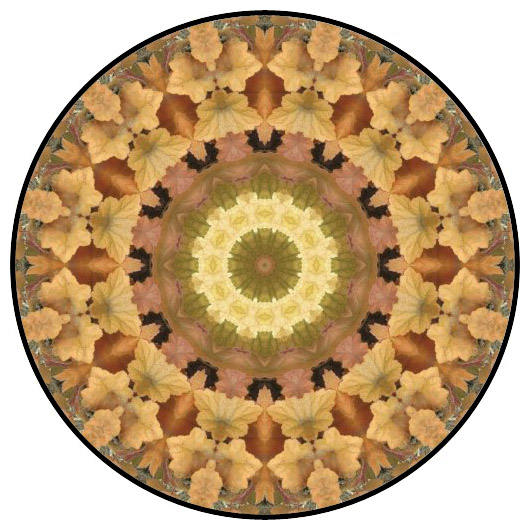 botanical mandala, mandala art