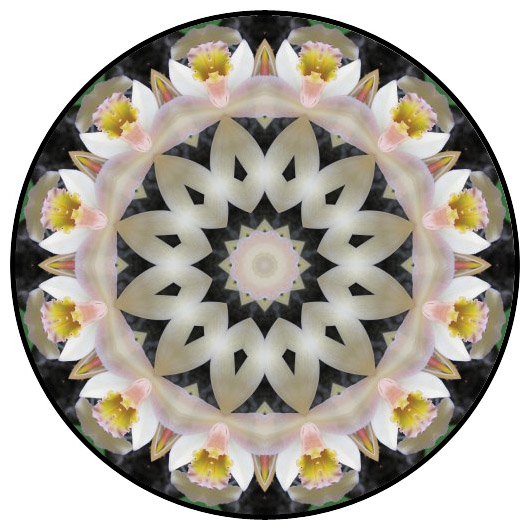 botanical mandala, mandala art