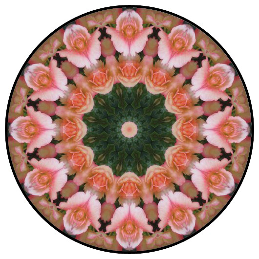 botanical mandala, mandala art