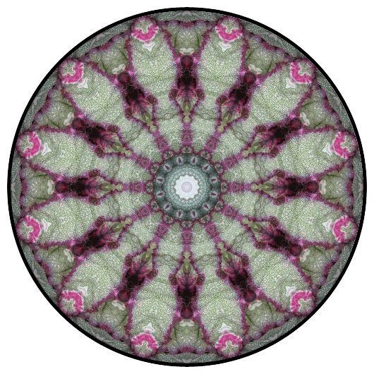 botanical mandala, mandala art